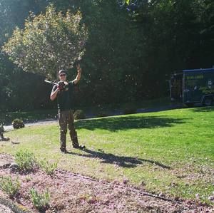 Meet your Posher, Rowan